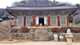 찬란하게 피어나는 봄날의 고창 그 은은한 매력에 스며들다!