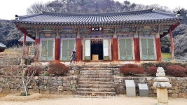 찬란하게 피어나는 봄날의 고창 그 은은한 매력에 스며들다!