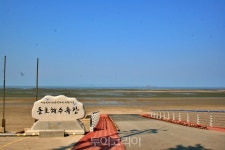 찬란하게 피어나는 봄날의 고창 그 은은한 매력에 스며들다!