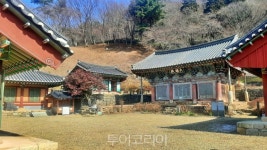 찬란하게 피어나는 봄날의 고창 그 은은한 매력에 스며들다!