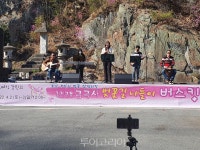 벚꽃 향연 즐기러 강진금곡사 벚꽃삼십리길축제로! 