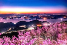 올 봄, 푸른바다·꽃·절경 반기는 찾아가고 싶은 봄 섬 5