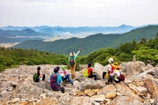 한국의 산티아고 해남 달마고도 걸으며 봄 기운 충전!