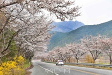 NAVER検索結果の写真 6