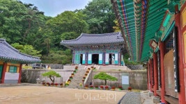 봄꽃 구경하며 소원명소 K-사찰 찾아 봄여행