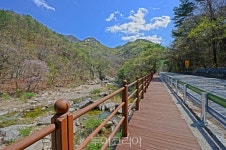 봄바람 휘날리며 단양느림보길 걸어요!..절벽따라 난 잔도길 걷고 느릿한 풍경 담고!