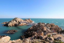 댕댕아 울산·태안 가자!..반려동물 친화관광도시로 선정