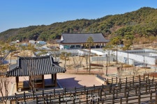 살랑살랑 차 타고 봄 타러...국도35호선 봉화 법전-명호 구간