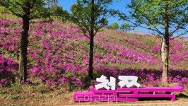 수원 광교호수공원으로 철쭉보러 오세요!
