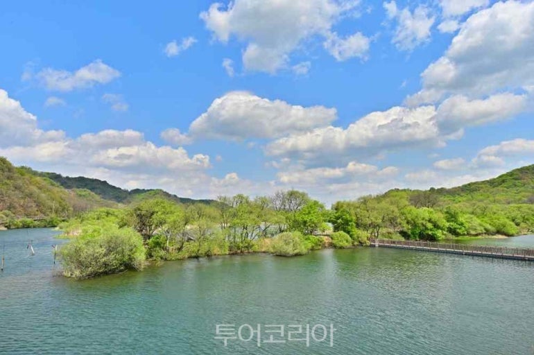 그린켐 이미지