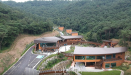 여름휴가, 전남 숲에서 숲캉스 즐기세요!