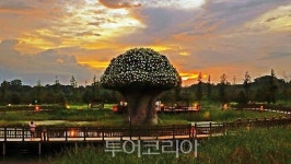 파주 임진각 관광지 새로운 매력탐구