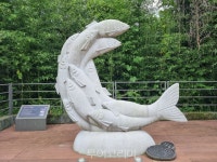 곡성군 압록 참게·은어거리 조성..곡성미식 관광 활성화 나서 