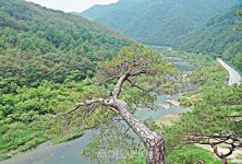 영월 요선암과 요선정, 바로 이곳이 무릉도원!
