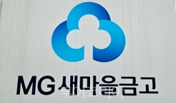 새마을금고중앙회, 경영혁신위원회 설치...건전성 체계적 관리