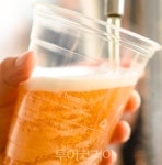부산관광공사x와일드웨이브, 부산지역 꿀 활용한 수제맥주 런칭