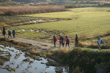 남쪽 쪽빛 바다 보며 걸어요! 경남 남파랑길 오감 트래킹 상품 출시 