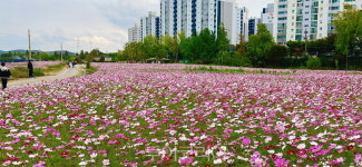 인천 연수구민과 함께하는 승기천 환경사랑 걷기 대회