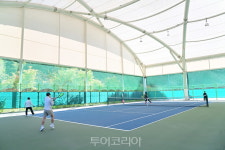 청송군, 사과축제 기간 스포츠대회 잇따라 개최 시너지효과 꾀한다!