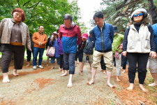 맨발 걷기 국민운동본부 속초지회 발대식 개최