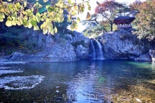 산림청, 속리산둘레길 국가숲길로 지정 