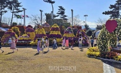 막바지 가을, 국화 꽃 만개한 거제시농업개발원으로 오세요