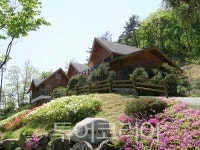 반려견과 함께 오세요! 안동 계명산자연휴양림, 애견동반 객실 시범운영