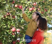 세월을 거슬러 과거를 엿보는 슬로시티 여행지 경북 영주