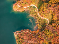 만추(晩秋), 호수·바다·별 반기는 강원네이처로드 따라 힐링②...굽이굽이 깊은산 드라이브길