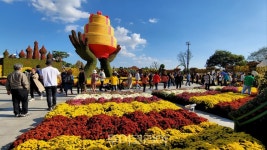 함평 대한민국 국향대전, 전남도 최우수 축제 선정