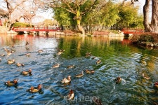설 명절 광한루원에서 가족과 전통민속놀이 체험하세요!...설연휴 무료 개방