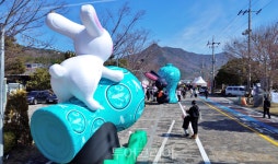 익사이팅 강진청자축제! 강진에 올래?청자랑 놀래!