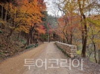 화순군, 이십곡리 너릿재 옛길을 명소로!...경관 개선, 여가·휴식 공간 제공