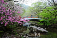 순창군, 4월부터 강천산·용궐산 하늘길 무료입장 65세→70세로 상향