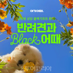여기어때 블랙, 테마별로 숙소 큐레이션 강화... 펫캉스 테마 선봬