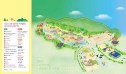 벚꽃놀이에 고령대가야축제까지, 3월말 고령이 즐겁다!
