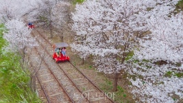 봄 따라 강 따라 살방살방 봄 마중