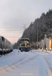 춘설(春雪) 겨울왕국  태백 오로라파크
