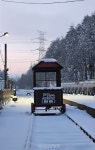 춘설(春雪) 겨울왕국  태백 오로라파크