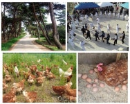 부여 Meet the Origin 투어 농촌크리에이투어 지원사업 선정