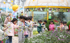 함평으로 산호랑나비보러 오세요!... 함평나비대축제 개막 앞두고 포토데이 개최