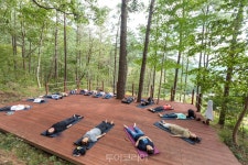 황톳길 걷고 치유의숲에서 힐링! ...광양 백운산자연휴양림으로 웰니스여행 떠나요