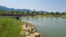 곡성군, 묘천리에 조성된 생태축 명칭 뚝방생태공원으로 선정