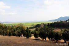 보성 힐링 여행은 여기서!...푸르른 자연 품은 보성의 민간정원 5선