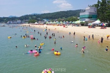 여름휴가객 모십니다!...보성군, 율포솔밭해수욕장 7월 6일 개장