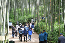 고향사랑 기부하고, 담양여행 가자! 담양군, 기부자에겐 관광지입장료 감면
