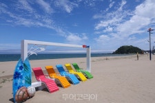 삼척시, 삼척·맹방 등 9개 해수욕장 개장...상어방지 그물망 설치 안전 해수욕 즐기세요!