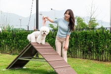스타필드 하남,  360평 규모 펫파크 오픈...댕댕이와 함께 오세요! 