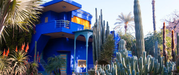 세계적인 디자이너 이브 생 로랑이 반한 곳, 모로코 마라케시 마조렐 정원