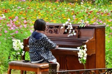 가을꽃 향연 즐기며 힐링하러 장성 황룡강 가을꽃축제로! ...10월 5일 개막
